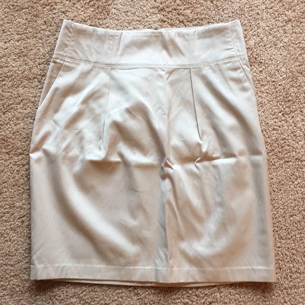 Banana Republic skirt